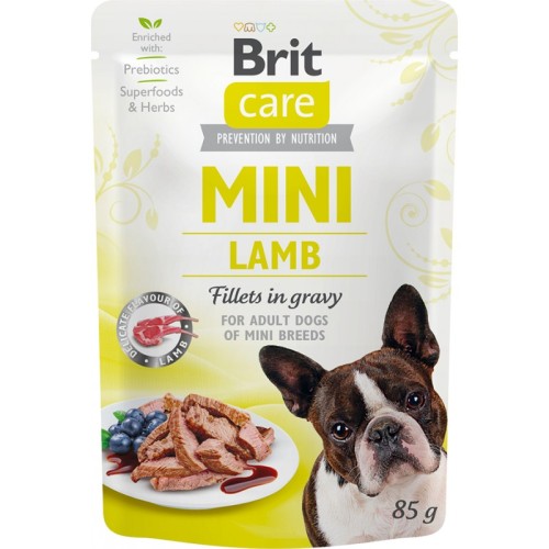 81f6892b4491b945da22f676df8383f5