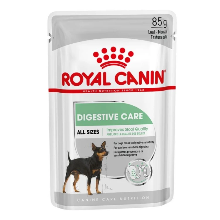 381af062c4d0364154012d27c960556a